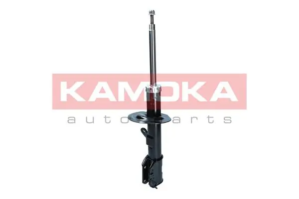 Shock Absorber 2000575