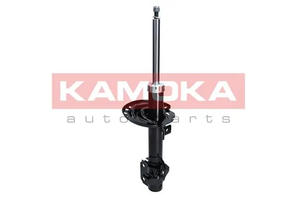 Shock Absorber 2000243
