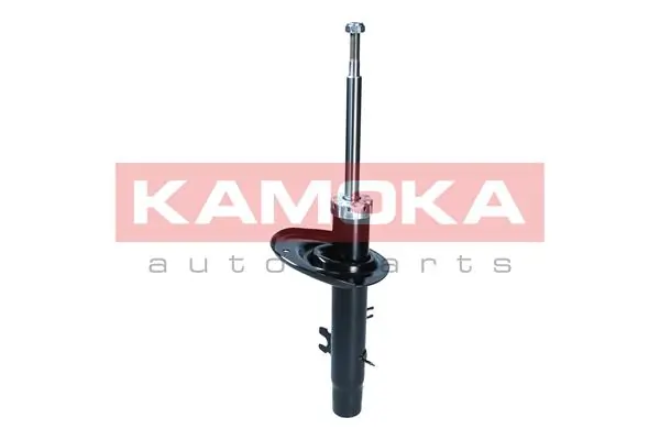 Shock Absorber 2000170