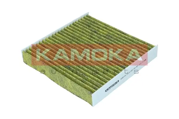 Filter, cabin air 6080144