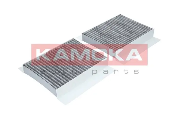 Filter, cabin air F502501