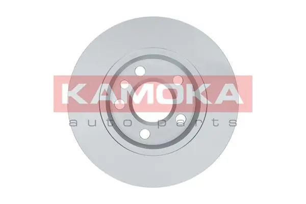 Brake Disc 1031918