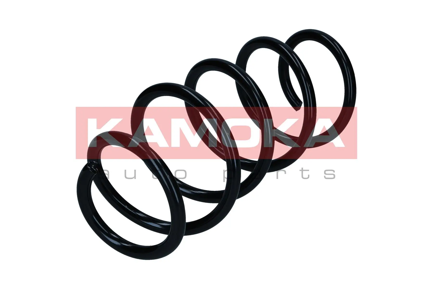 Suspension Spring 2110877