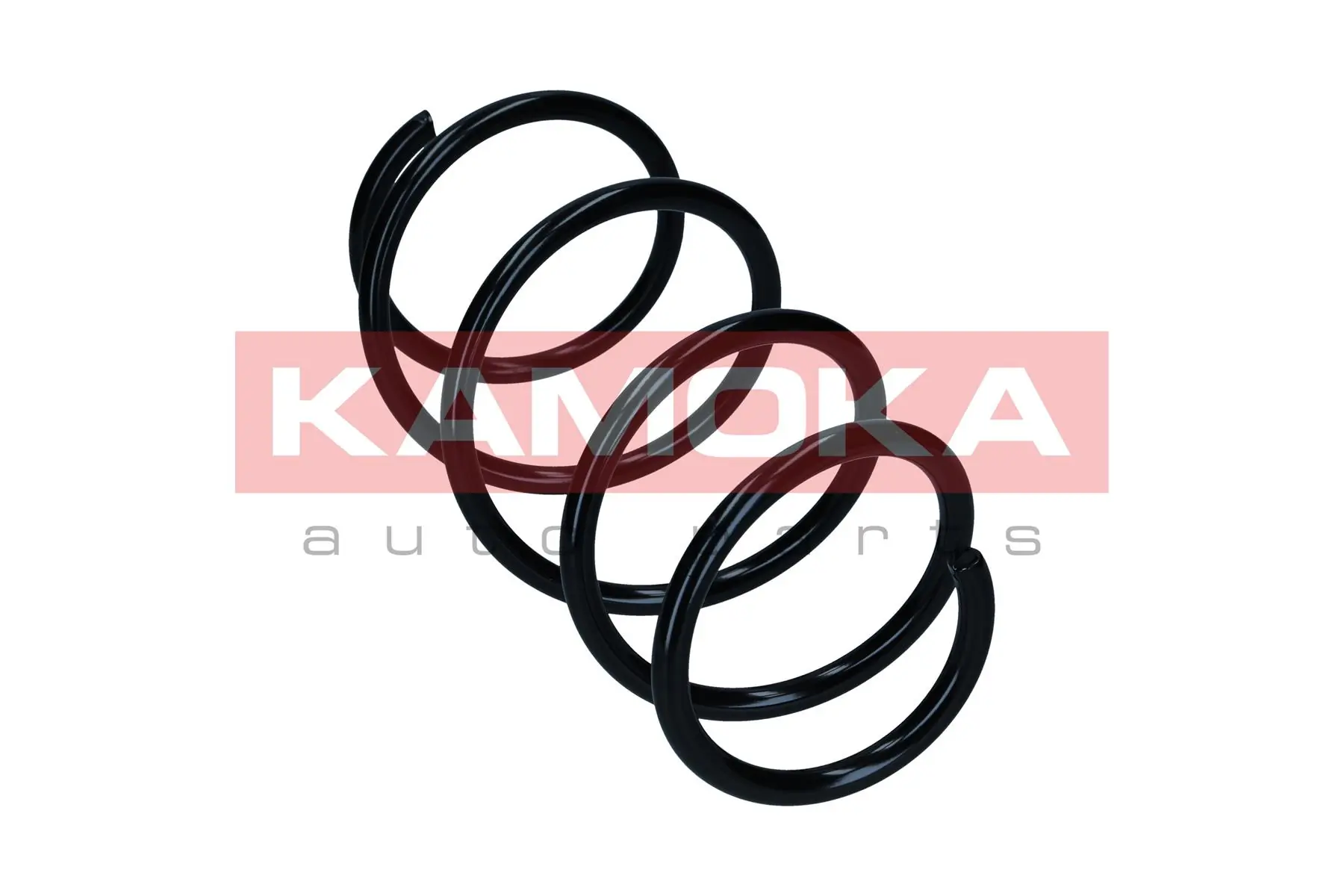 Suspension Spring 2110799