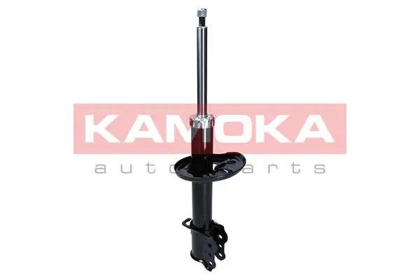 Shock Absorber 2000492
