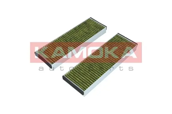 Filter, cabin air 6080035