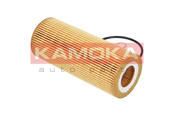Oil Filter F109001