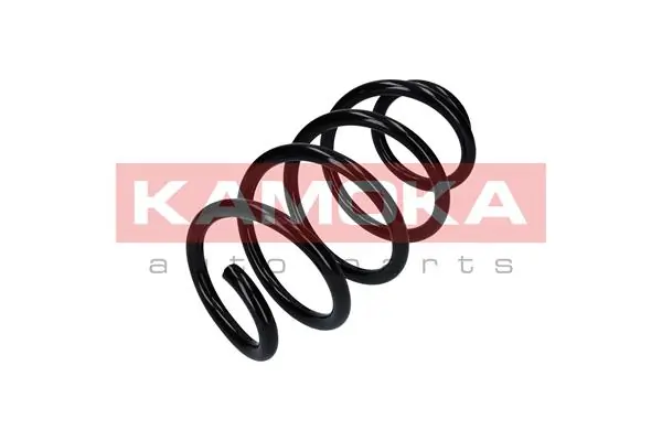 Suspension Spring 2110362