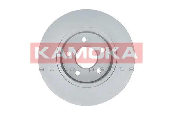Brake Disc 1032252