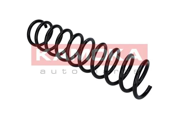 Suspension Spring 2120234