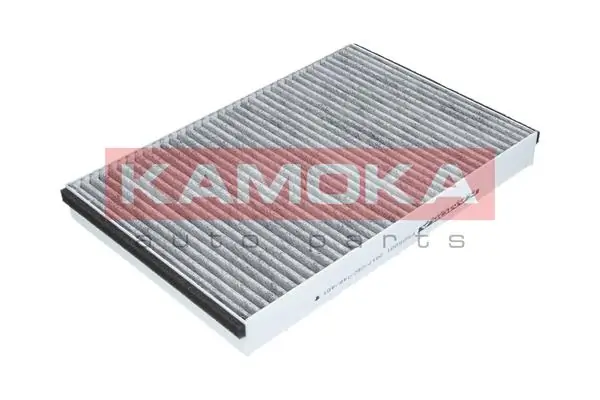 Filter, cabin air F505001