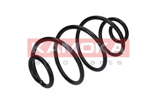 Suspension Spring 2120046