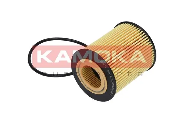 Oil Filter F105601