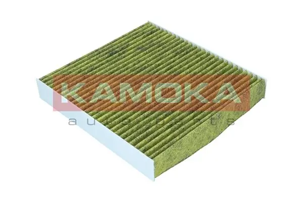 Filter, cabin air 6080091