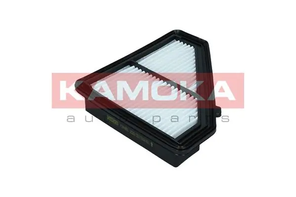 Air Filter F244901