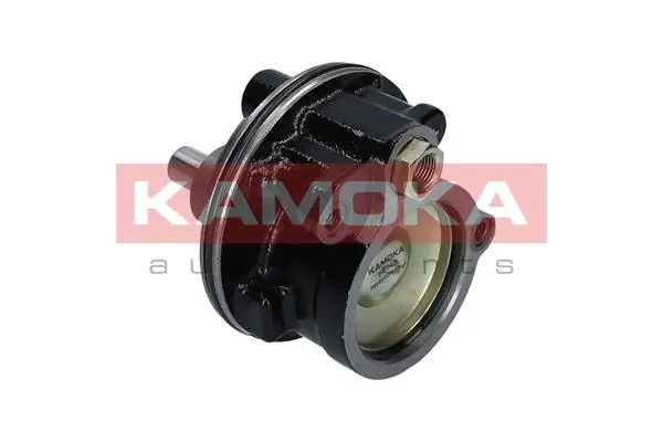 Hydraulic Pump, steering PP049