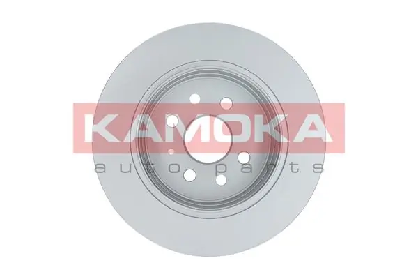 Brake Disc 1032086