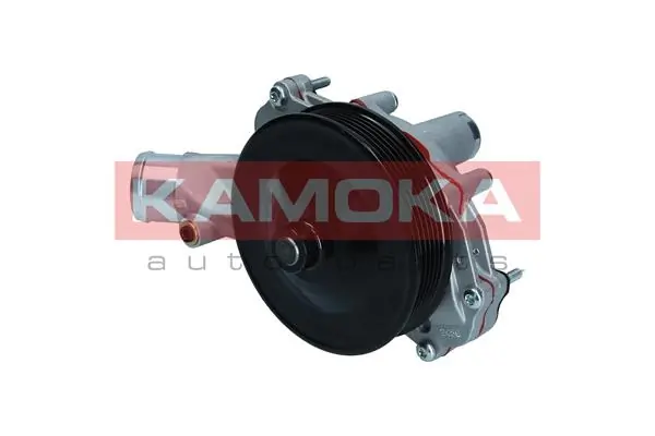 Water Pump, engine cooling T0291