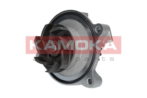 Water Pump, engine cooling T0271