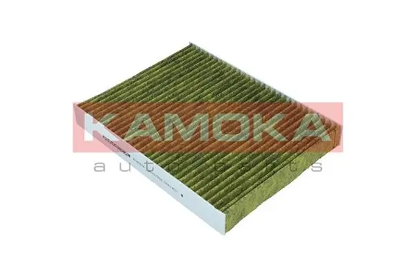 Filter, cabin air 6080014