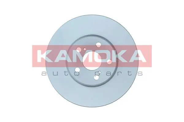 Brake Disc 1031009