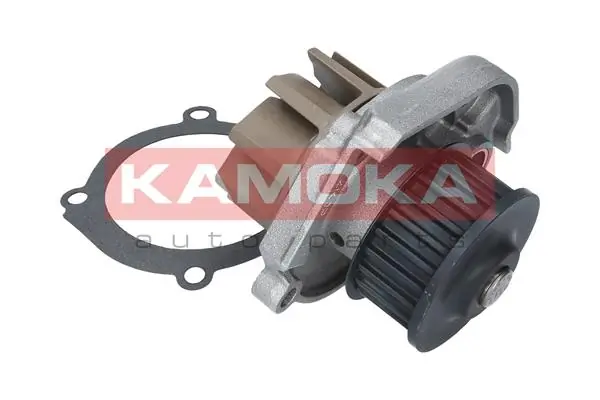 Water Pump, engine cooling T0013