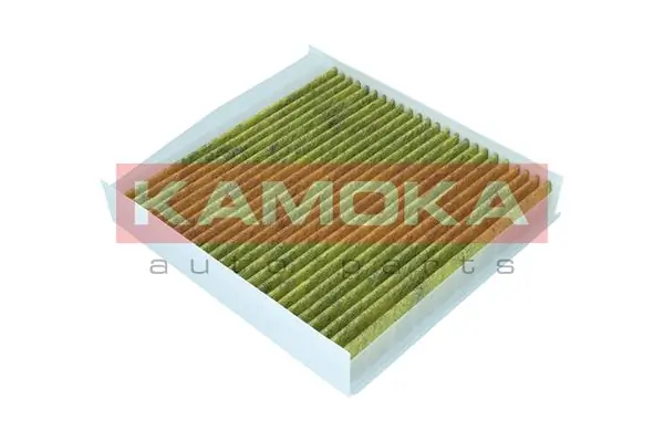Filter, cabin air 6080020