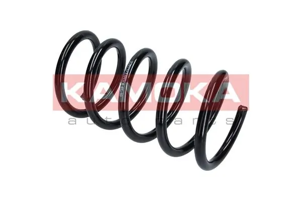 Suspension Spring 2120239