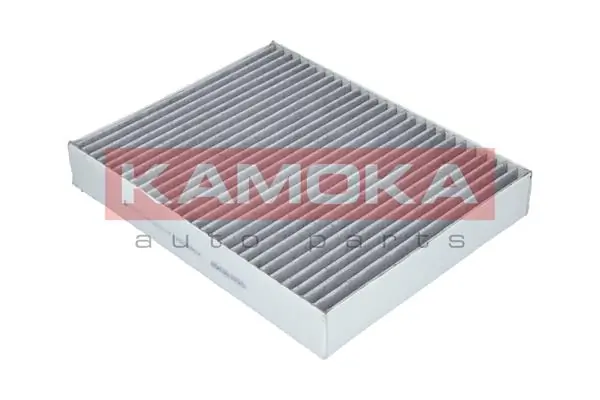 Filter, cabin air F508701