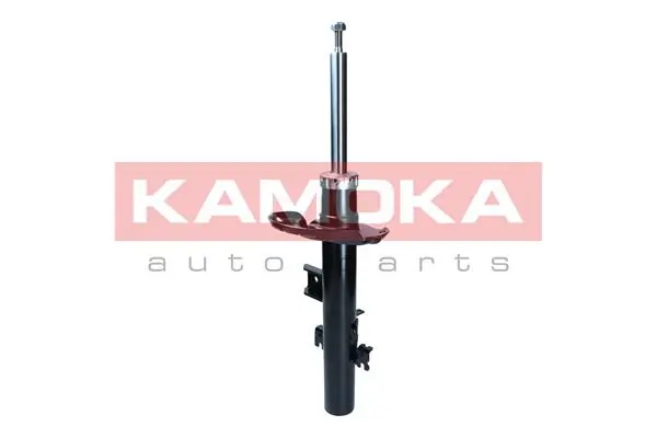 Shock Absorber 2001288