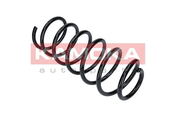 Suspension Spring 2110194