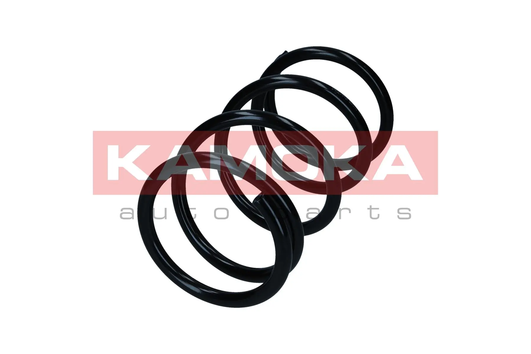 Suspension Spring 2110499