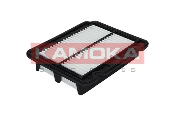 Air Filter F210601