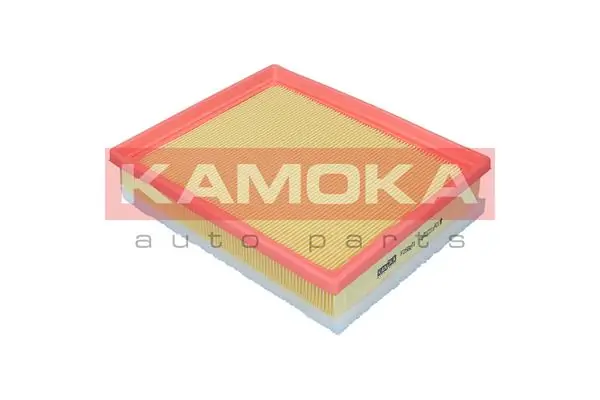 Filter udara F257601