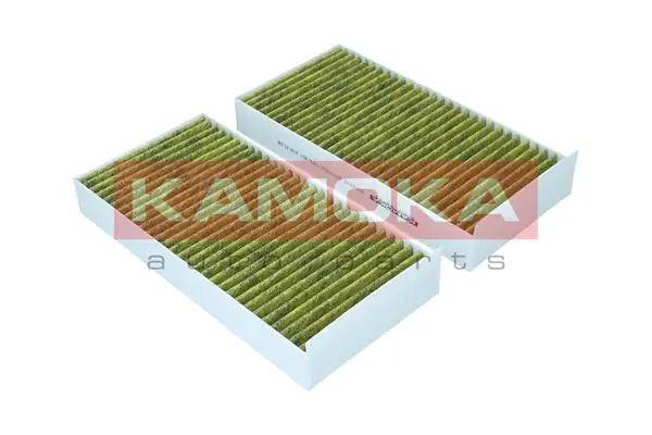 Filter, cabin air 6080116