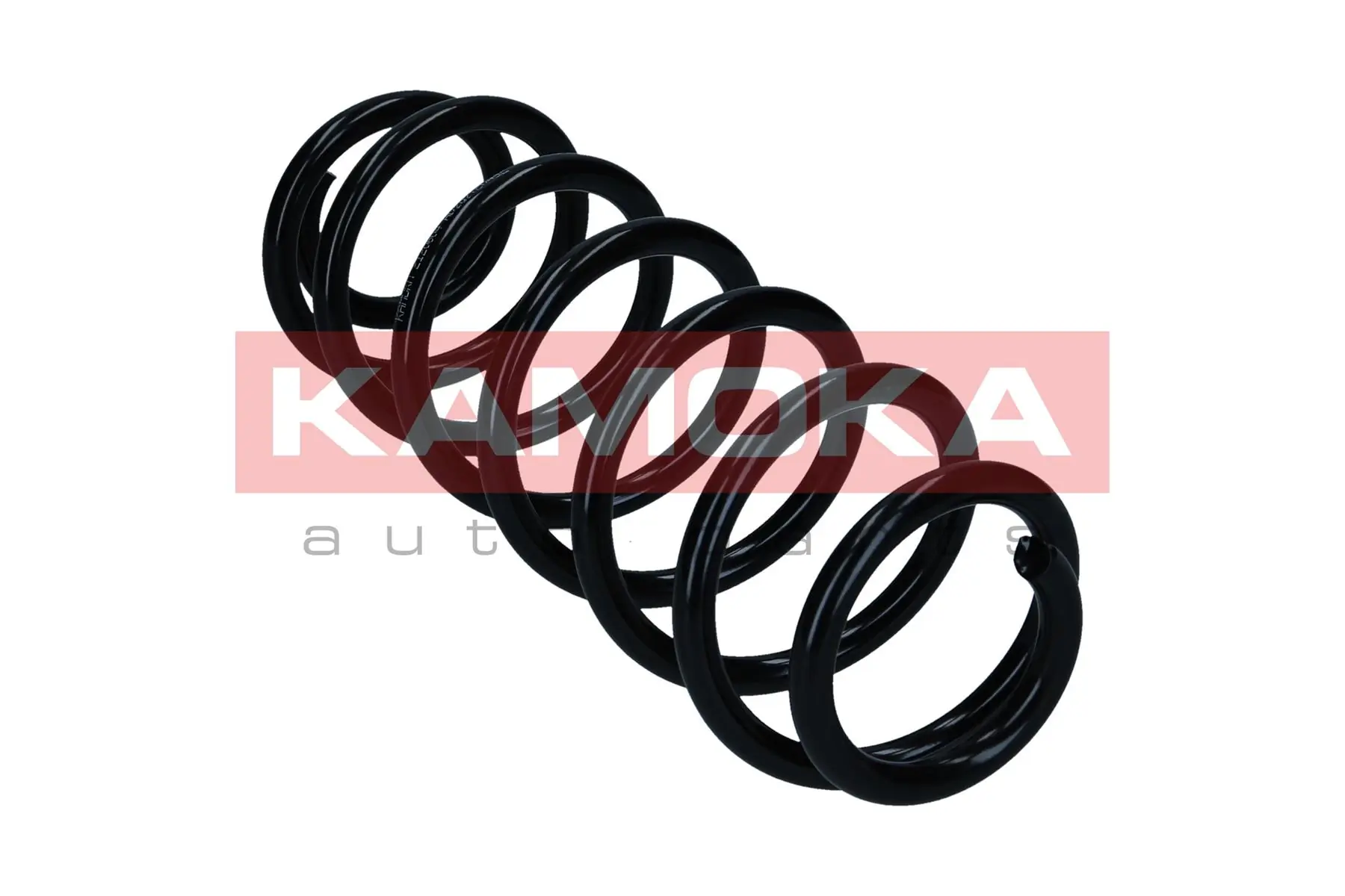 Suspension Spring 2120604