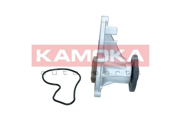 Water Pump, engine cooling T0305