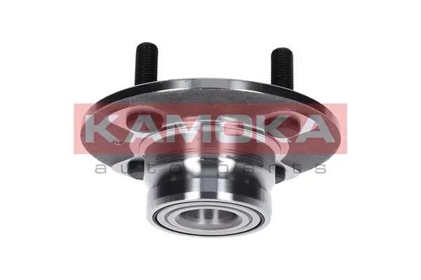 Wheel Bearing Kit 5500023