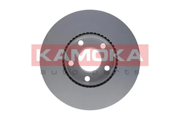 Brake Disc 1032028
