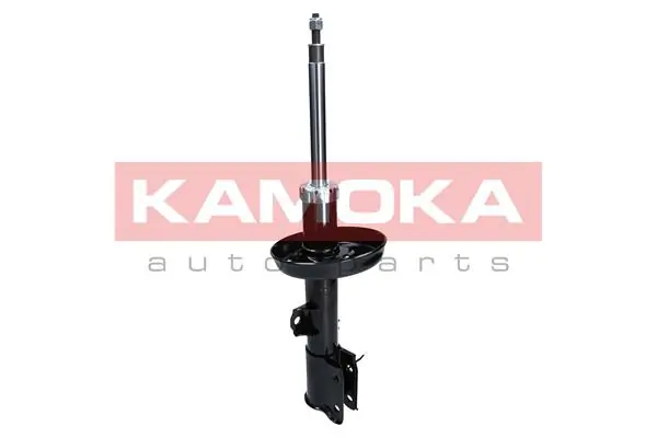 Shock Absorber 2000160