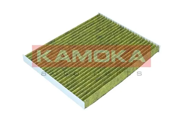 Filter, cabin air 6080099