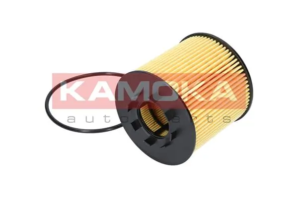 Oil Filter F112901