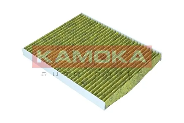 Filter, cabin air 6080092