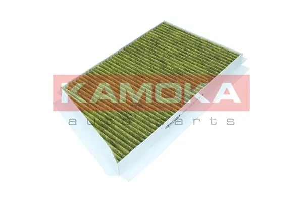 Filter, cabin air 6080065