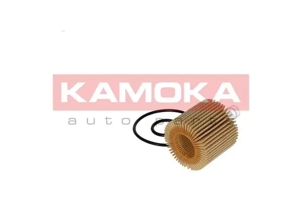 Oil Filter F112001