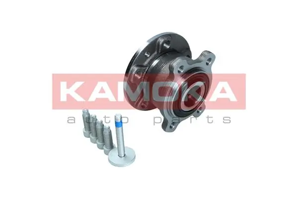 Wheel Bearing Kit 5500377