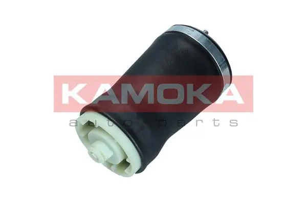 Air Spring, suspension 2079022