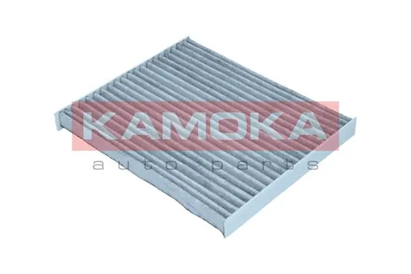 Filter, cabin air F519001