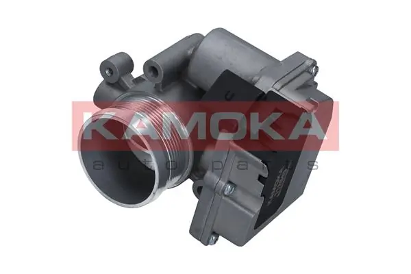 Throttle Body 112045