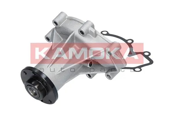Water Pump, engine cooling T0181